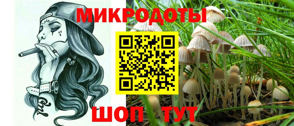 Галлюциногенные грибы Cubensis Пыть-Ях